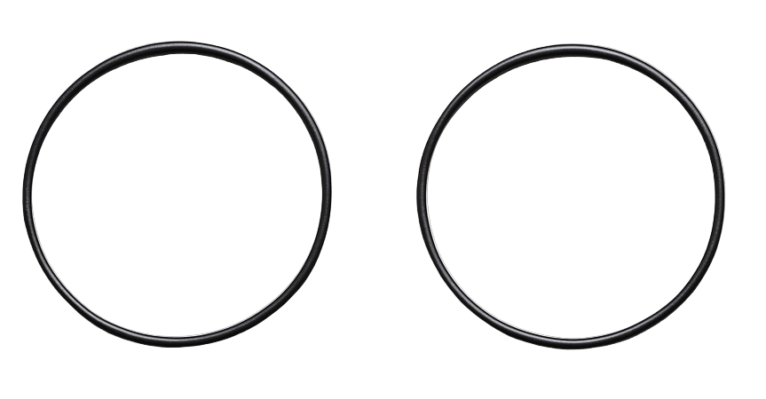 Quartz Case Seals
